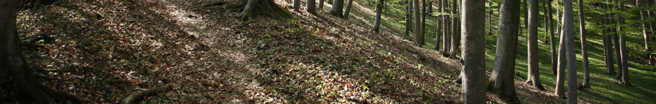 rotator8.jpg
